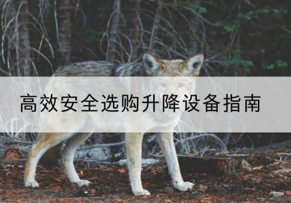京山升降货梯厂家推荐-*安全选购升降设备指南