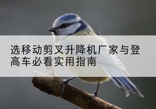 京山电动升降机厂家-选移动剪叉升降机厂家与登高车必看实用指南