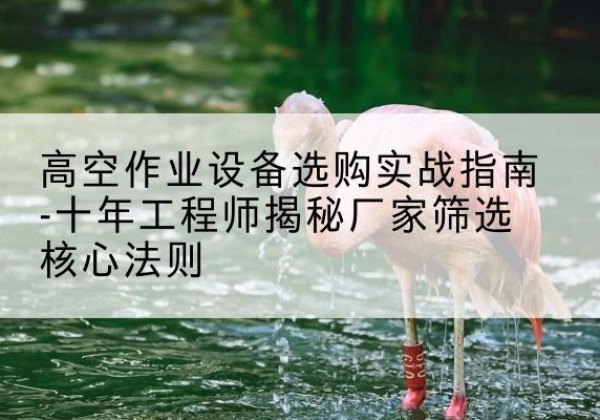 京山剪叉式升降机厂家-高空作业设备选购实战指南-十年工程师揭秘厂家筛选核心法则